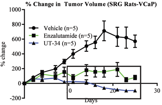 CCR image 1 Efficacy drug testing in VCaP shows SARD (FAQ: selective androgen receptor degrader) UT-42 is highly efficacious