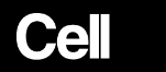 cell
