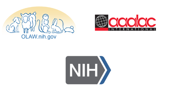 image_2021_02_25T19_40_04_299Z