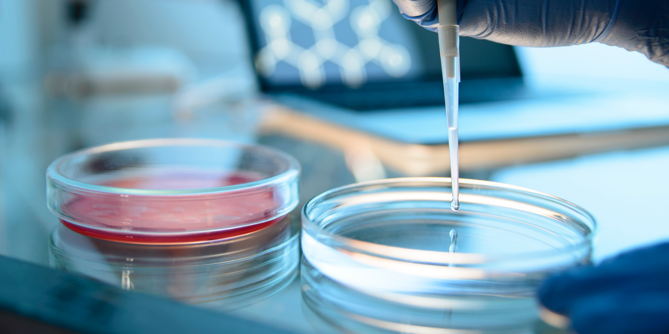 Hera BioLabs-piggyBac-Optimize Stable Cell Line Creation With piggyBac Transposon System