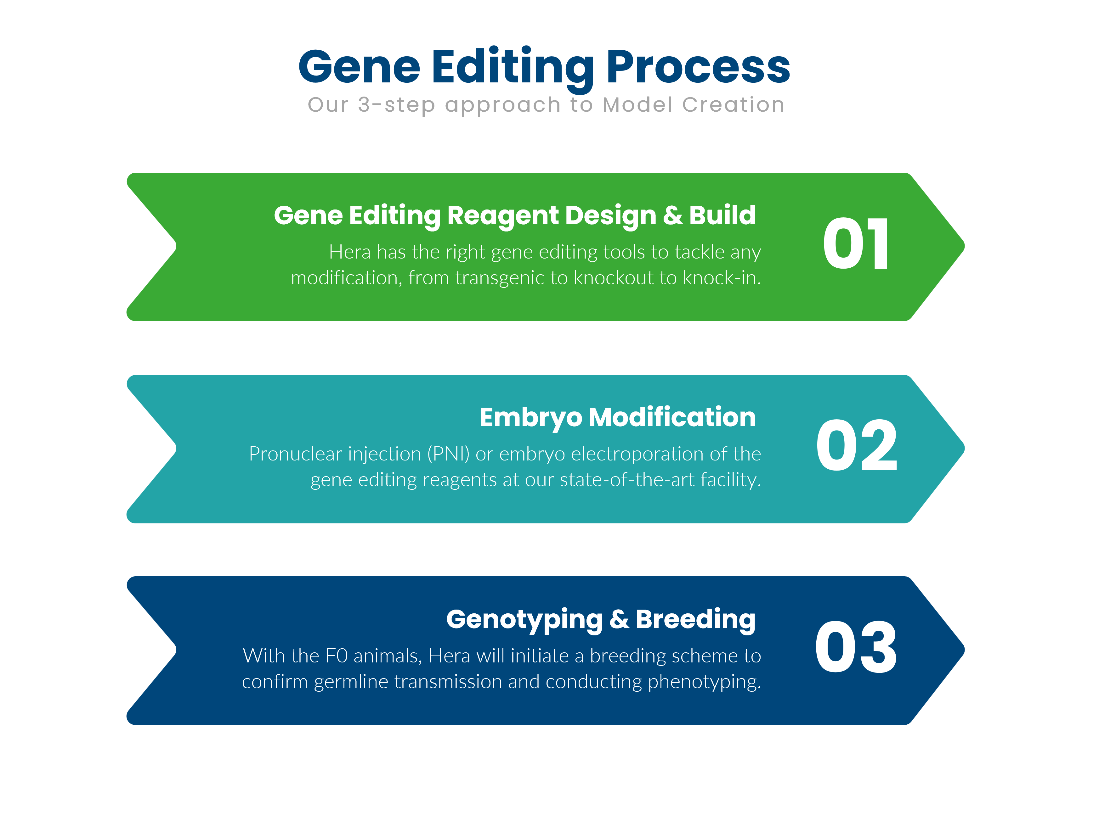 knockout rat process knockout rat and knockout mouse creation