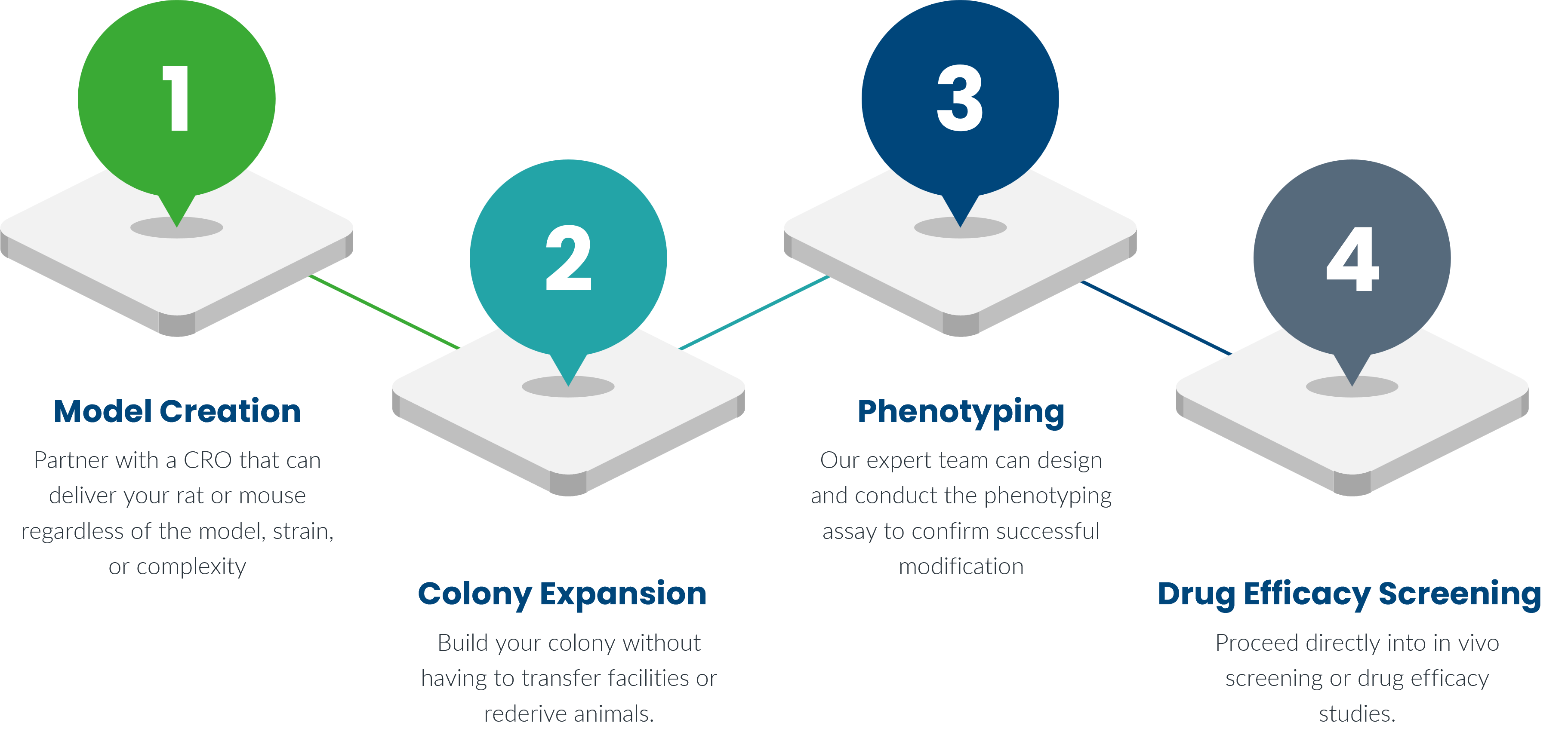 save time and money with one CRO chose CRO to delivery your transgenic rat model creation