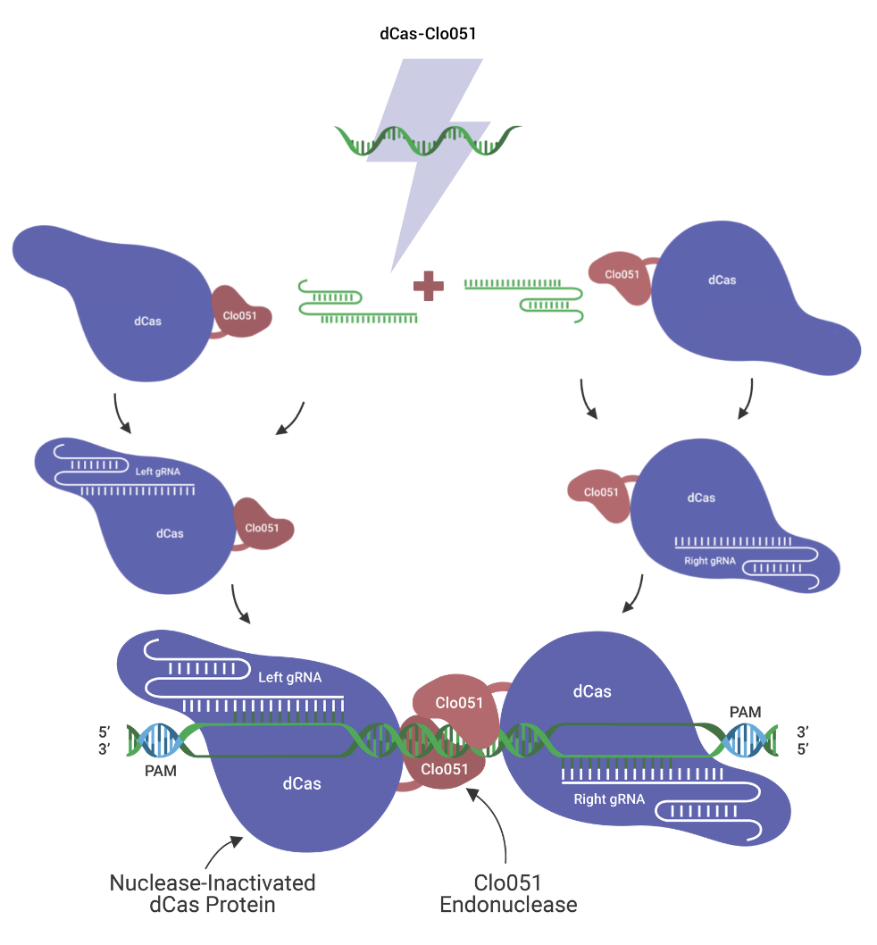 dCas-Clo051-Combination-Process—Demeetra-Graphic-021323