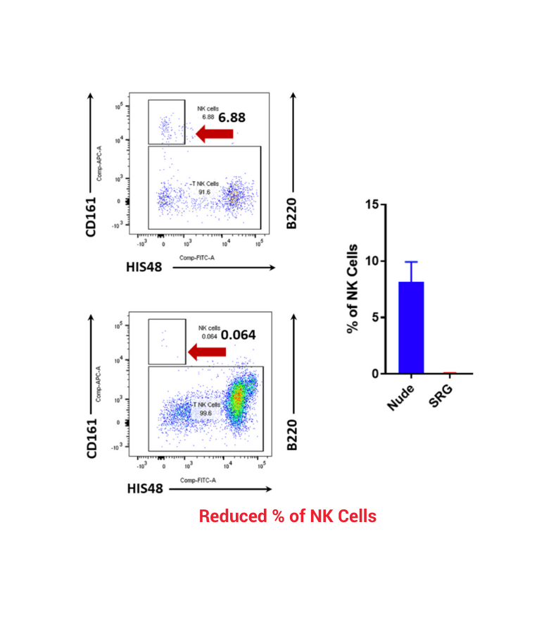 The SRG RatTM Mockup – 030823