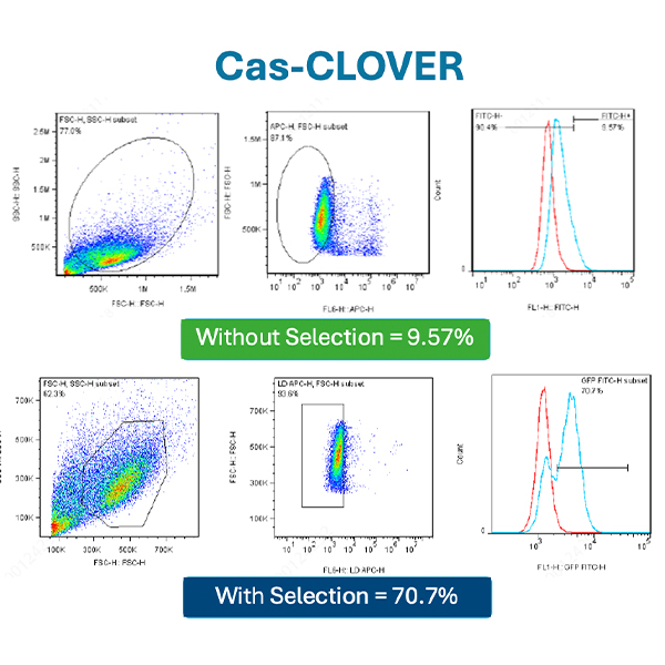 Cas-CLOVER_600x600