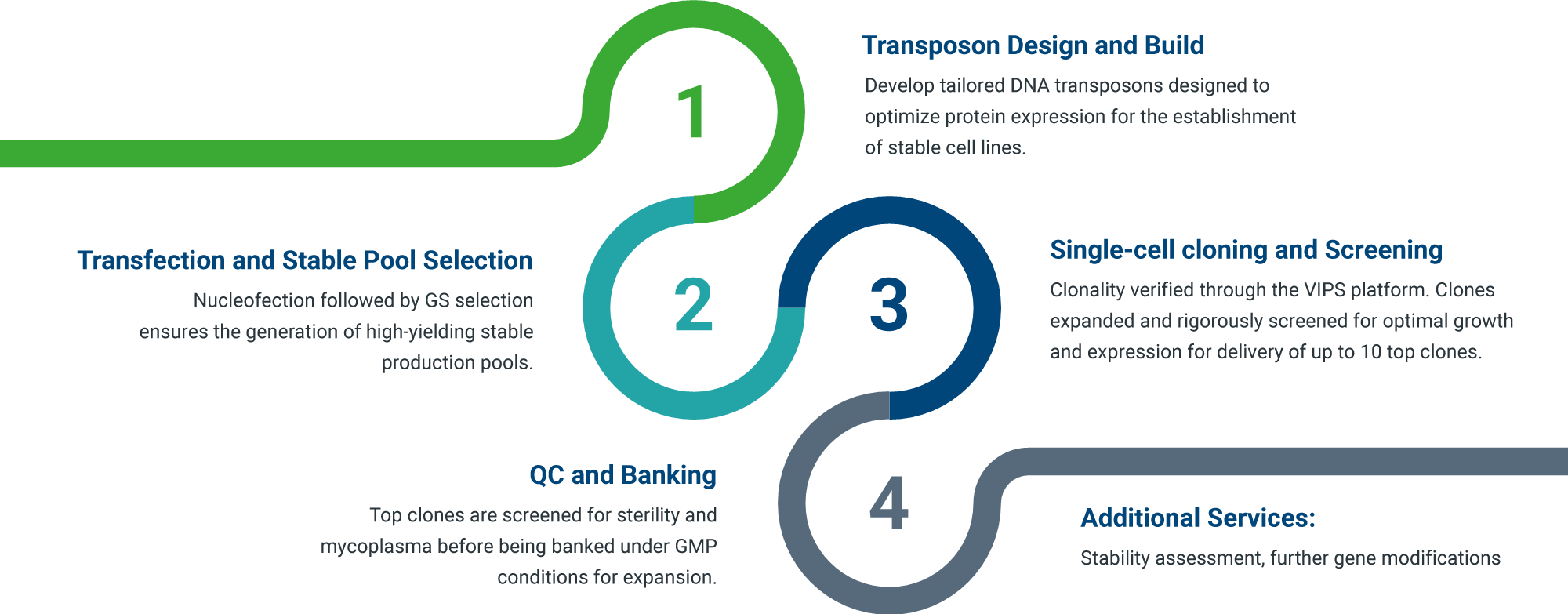 stable-cell-line-dev_revised