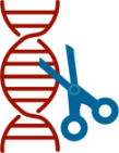 cell line engineering