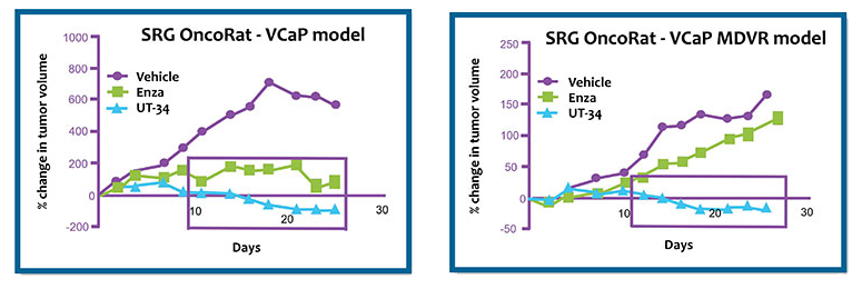 dgraph